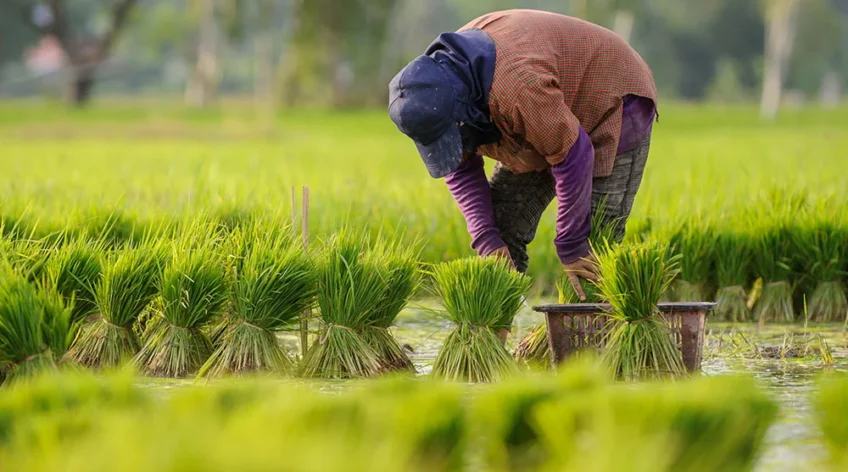 There are many variations of passages of Lorem Ipsum available, but majority have suffered teration in some form, by injected humour, or randomised words which don't look even slight believable. If you are going to use a passage of Lorem Ipsum.